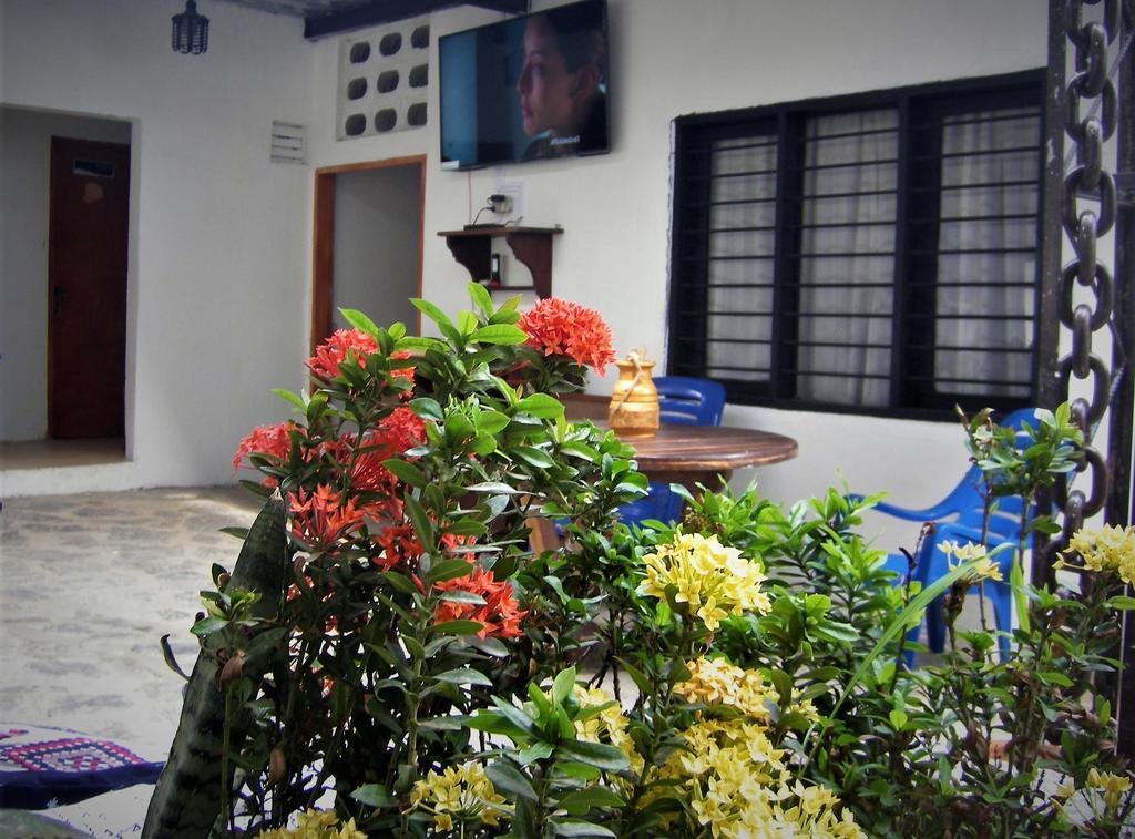 Hostal Palohe Taganga Exteriör bild